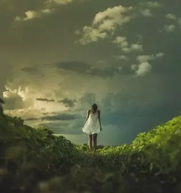 Osebna rast novo mesto