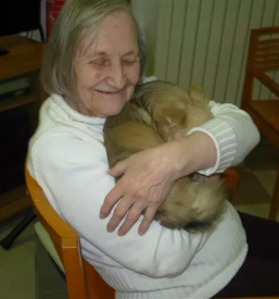 Oskrba starejsih na domu zasavje