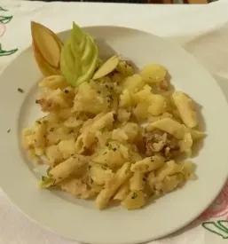Oskrba starejsih zasavje