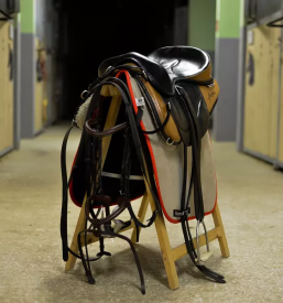 Otroško jahanje Celje in okolica