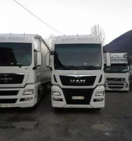 Paletni prevozi blaga v avstrijo