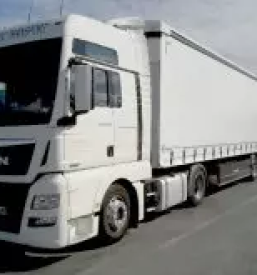 Paletni prevozi blaga v svico