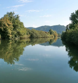 Piknik z ladjico po Ljubljanici