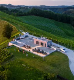 Peneca vina stajerska