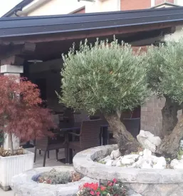 Dobre pice Goriška