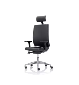 Pisarniški stoli Osrednja Slovenija