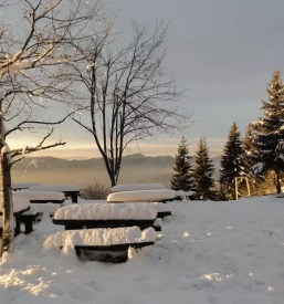 Planinska koca v sloveniji
