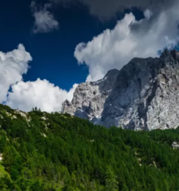 Planinsko drustvo jesenice