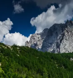 Planinsko drustvo jesenice