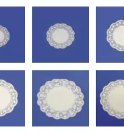 Plastična in papirnata embalaža Primorska