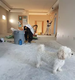 Kvalitetno pleskarstvo Štajerska