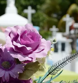 Pogrebništvo Savinjska