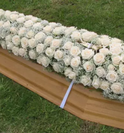 Pogrebno podjetje in pogrebne storitve goriska