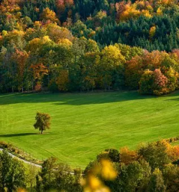 Pohodnistvo planika maribor stajerska