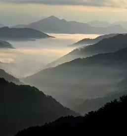 Pohodnistvo planika maribor stajerska