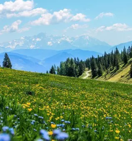 Pohodnistvo planika maribor stajerska