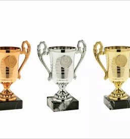 Pokali in medalje celje okolica savinjska