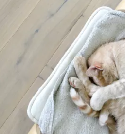 Polaganje parketa savinjska