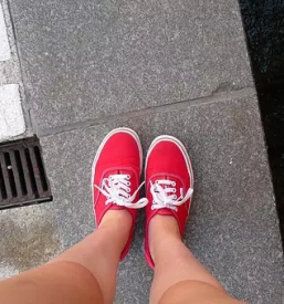 Polaganje robnikov grosuplje