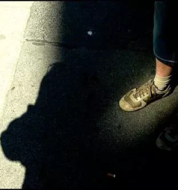 Polaganje robnikov grosuplje