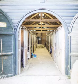 Poletni tabori gorenjska