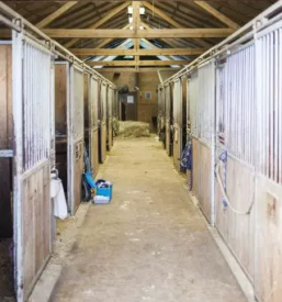 Poletni tabori gorenjska