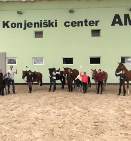 Ugodni poletni tabori s konji Celje