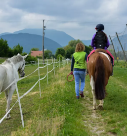 Poletni tabori s konji za otroke Celje, Savinjska