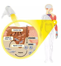 Pomoc pri samozdravljenju slovenija