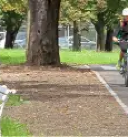 Popravilo cestisca slovenija