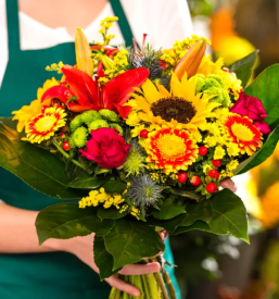 Porocni sopki domzale