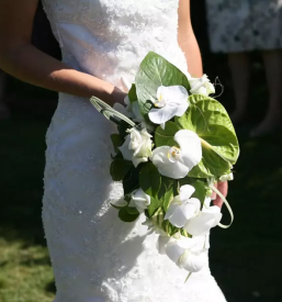 Porocni sopki domzale