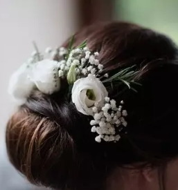 Porocni sopki koroska