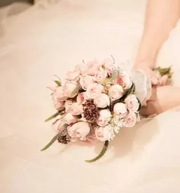 Porocni sopki koroska