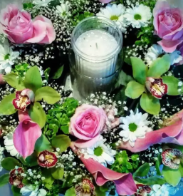 Porocni sopki ljubljana okolica