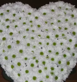 Porocni sopki ljubljana okolica