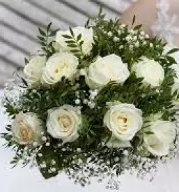 Porocni sopki nova gorica