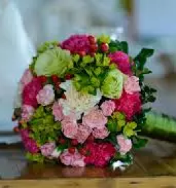 Porocni sopki nova gorica