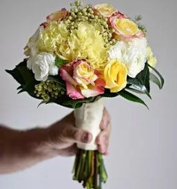 Porocni sopki prevalje