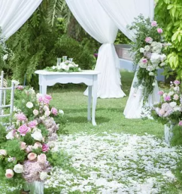 Porocni sopki slovenske konjice