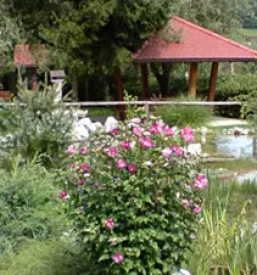 Posebni zavod impoljca