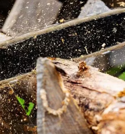 Posek in spravilo lesa gorenjska