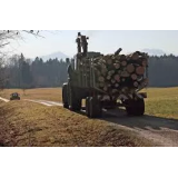 Gozdarstvo Količ, Količ Jožica s.p.