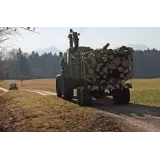 Gozdarstvo Količ, Količ Jožica s.p.