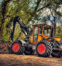 Gozdarske storitve Osrednja Slovenija