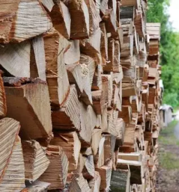 Posek in spravilo lesa osrednja slovenija