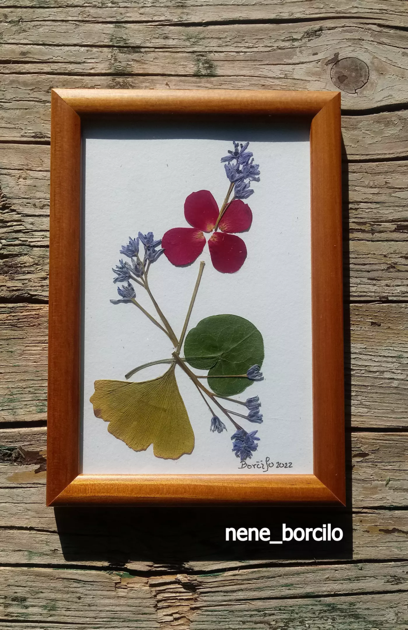 Učiteljica slikarstva