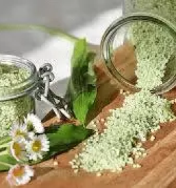 Predavanja s podrocja zeliscarstva slovenija