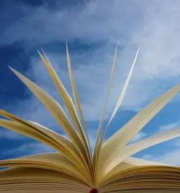 Vrtec Cerklje ob Krki