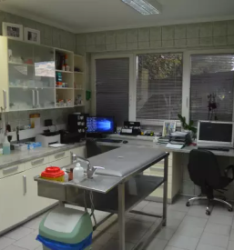 Najboljši veterinar Murska Sobota
